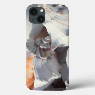 Sea Shells in sunlight and shadow iPhone 13 Case