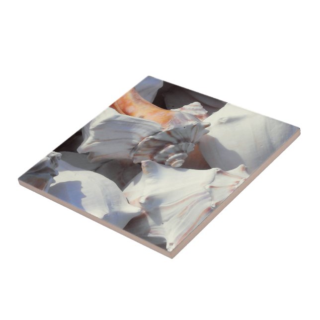 Sea Shells in sunlight and shadow Ceramic Tile (Side)