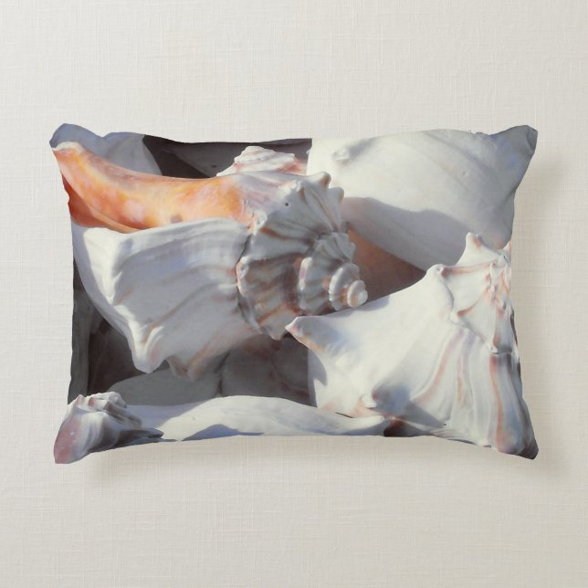 Sea Shells in sunlight and shadow Decorative Cushion (Front)