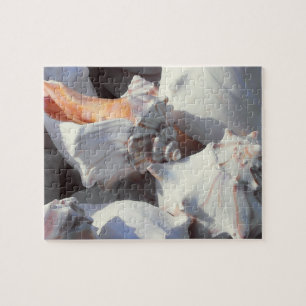Sea Shells in sunlight and shadow Jigsaw Puzzle