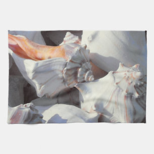 Sea Shells in sunlight and shadow Tea Towel