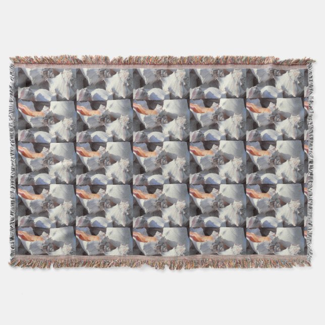 Sea Shells in sunlight and shadow Throw Blanket (Front)
