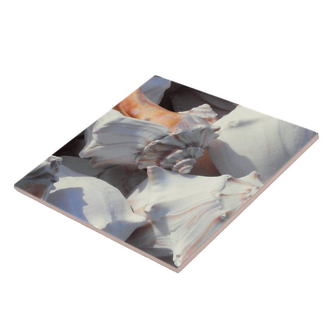 Sea Shells in sunlight and shadow Tile (Side)