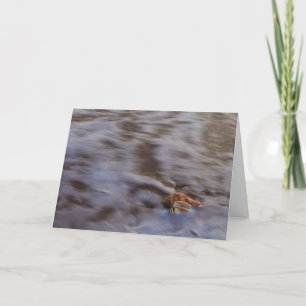 Sea Shells in Surf Greeting Card