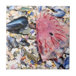 Sea Shells Jellyfish Ocean Beach View Ceramic Tile