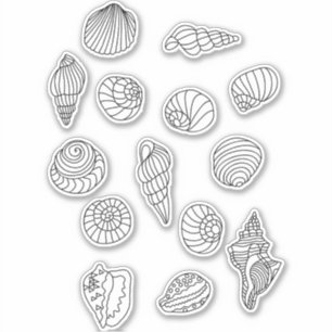 Sea Shells Line Art Drawing
