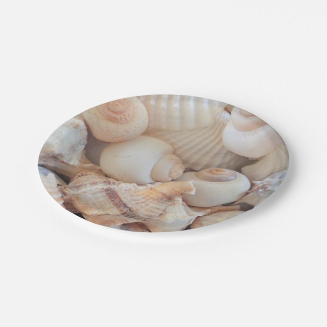 Sea Shells Love, Summer Beach Picnic, Paper Plate (Angled)