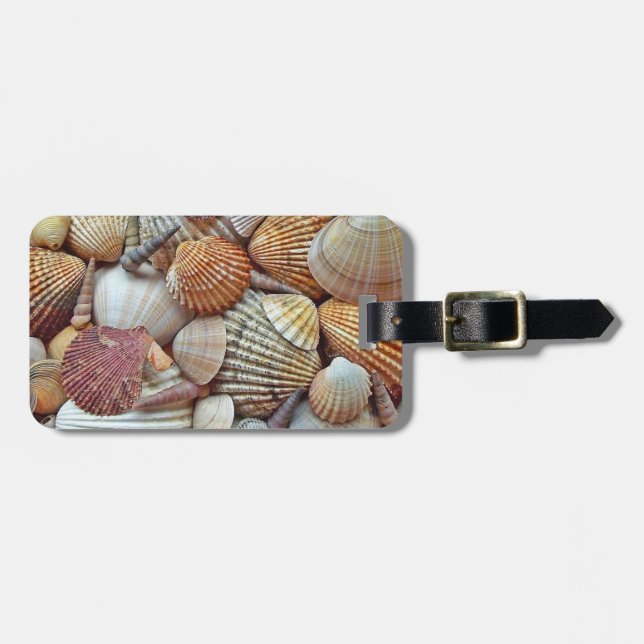 Sea Shells Luggage Tag (Front Horizontal)