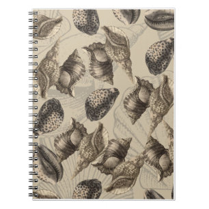 Sea Shells Notebook