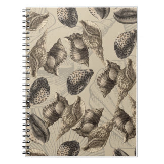 Sea Shells Notebook
