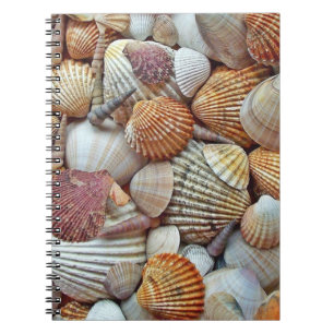 Sea Shells Notebook