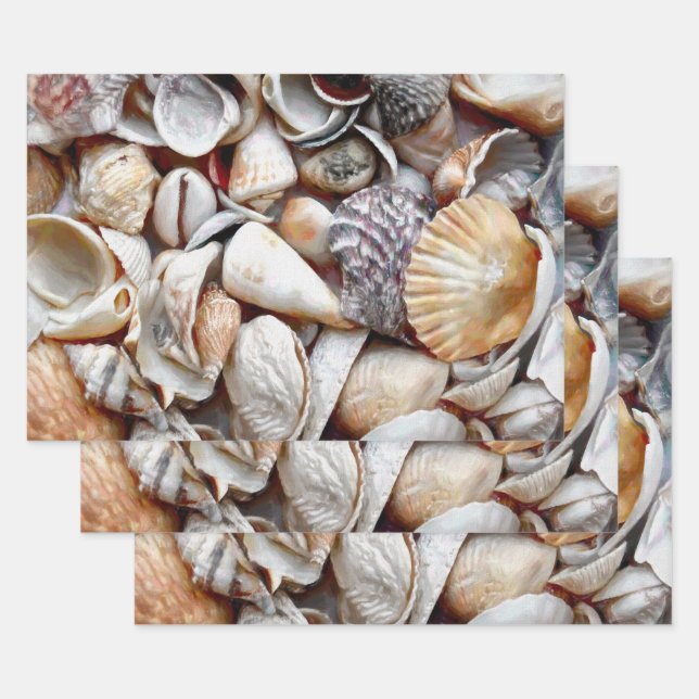 Sea Shells Ocean Beach Beautiful Decoupage Wrapping Paper Sheet (Set)