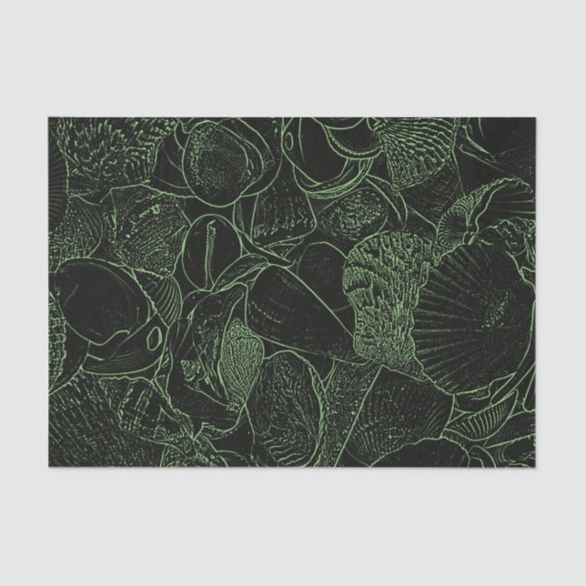 Sea Shells Ocean Beach Green Black Sketch Tissue Paper (Front)