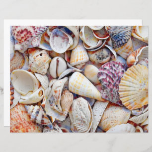 Sea Shells Ocean Beach Watercolor Decoupage