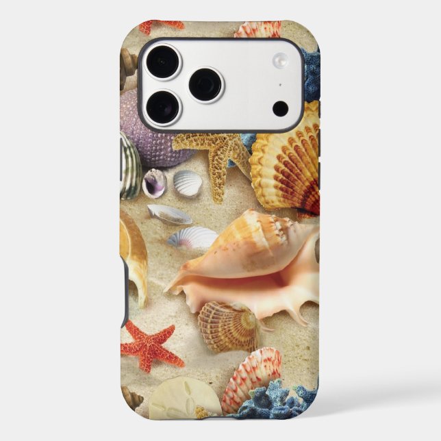 Sea shells on beach (Back)