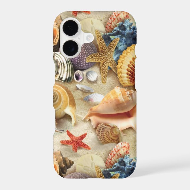 Sea shells on beach (Back)
