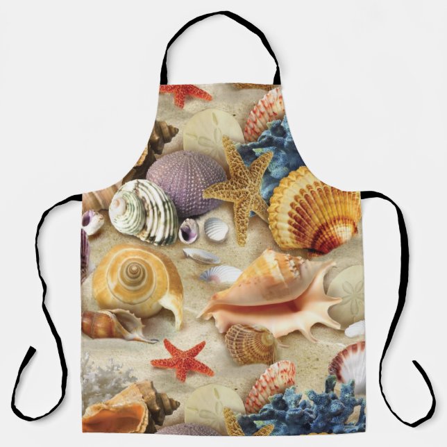 Sea shells on beach apron (Front)