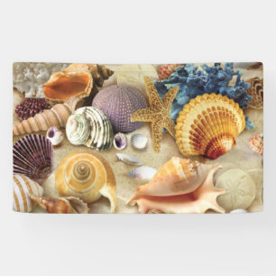 Sea shells on beach banner