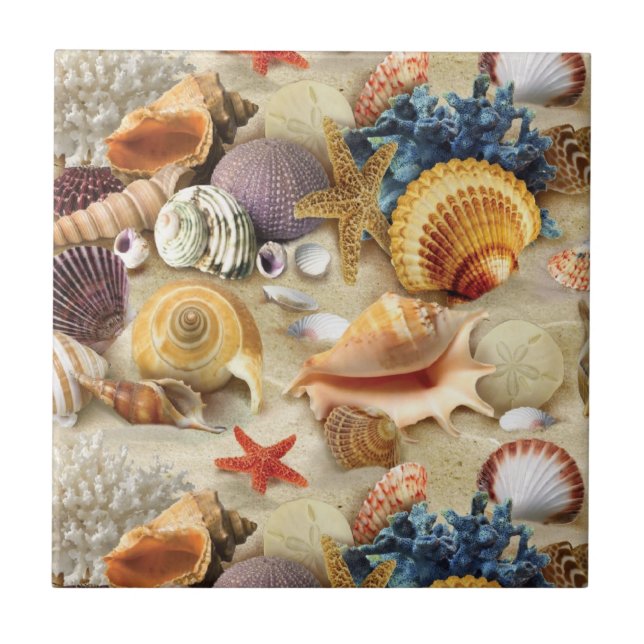Sea shells on beach ceramic tile (Front)