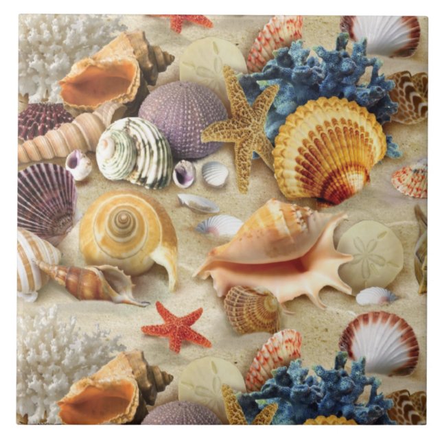 Sea shells on beach ceramic tile (Front)