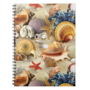 Sea shells on beach notebook