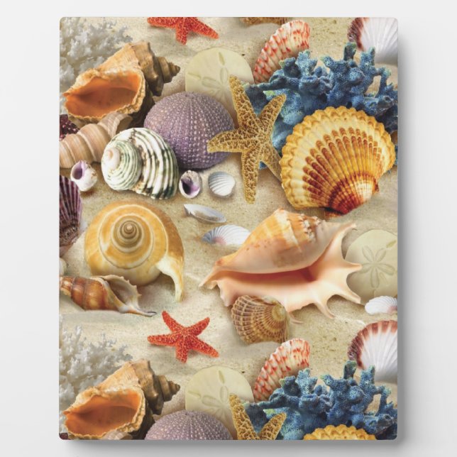 Sea shells on beach plaque (Front)