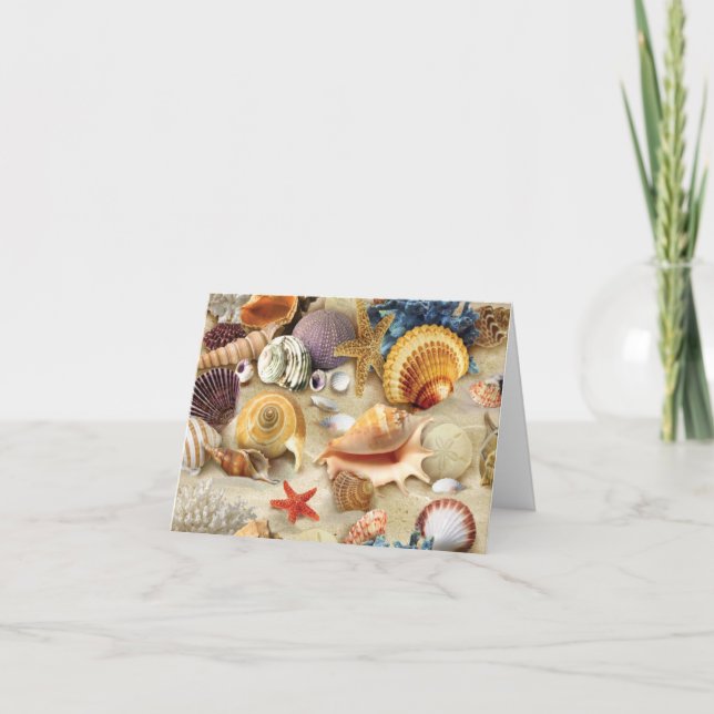 Sea shells on beach thank you card (Front)