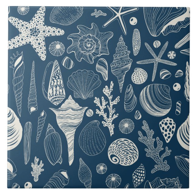 Sea shells on  dark blue ceramic tile (Front)