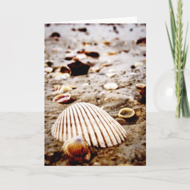 Sea Shells on Krabi Beach  Card (Front)