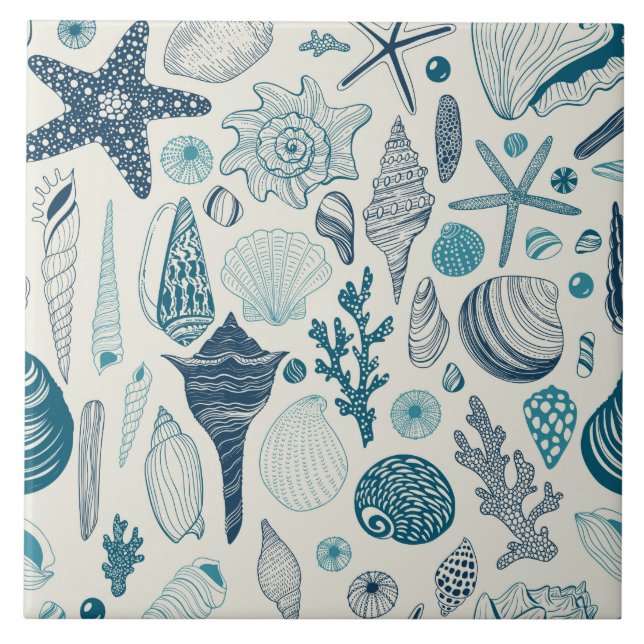 Sea shells on  off white ceramic tile (Front)