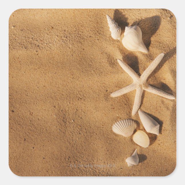 Sea shells on sand square sticker (Front)