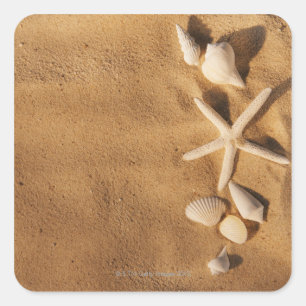 Sea shells on sand square sticker