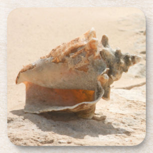 Sea Shells On The Beach Coaster