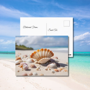 Sea shells on the beach postcard