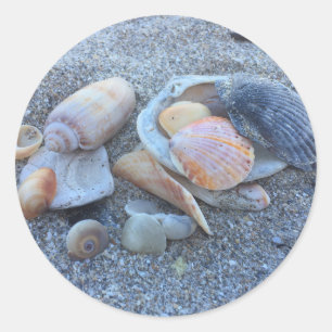 Sea Shells Paradise Beach Classic Round Sticker