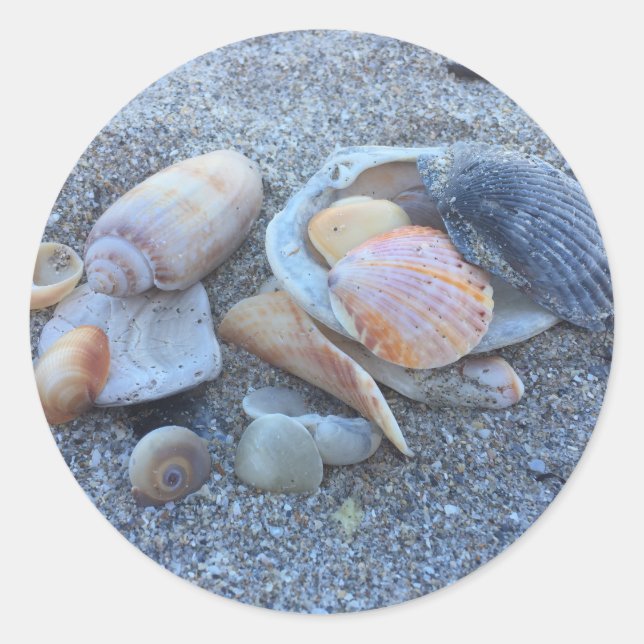Sea Shells Paradise Beach Classic Round Sticker (Front)