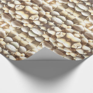 Sea Shells Pattern Summer Natural Shades of Brown Wrapping Paper