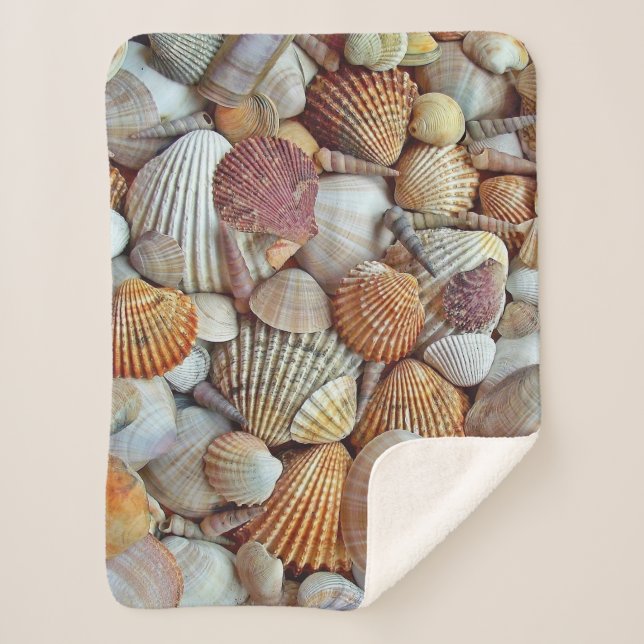 Sea Shells Sherpa Blanket (Front)