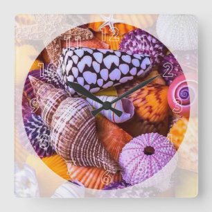 Sea Shells Square Wall Clock