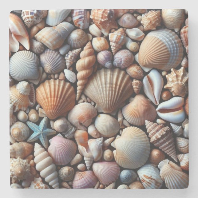 Sea Shells Stone Coaster (Front)