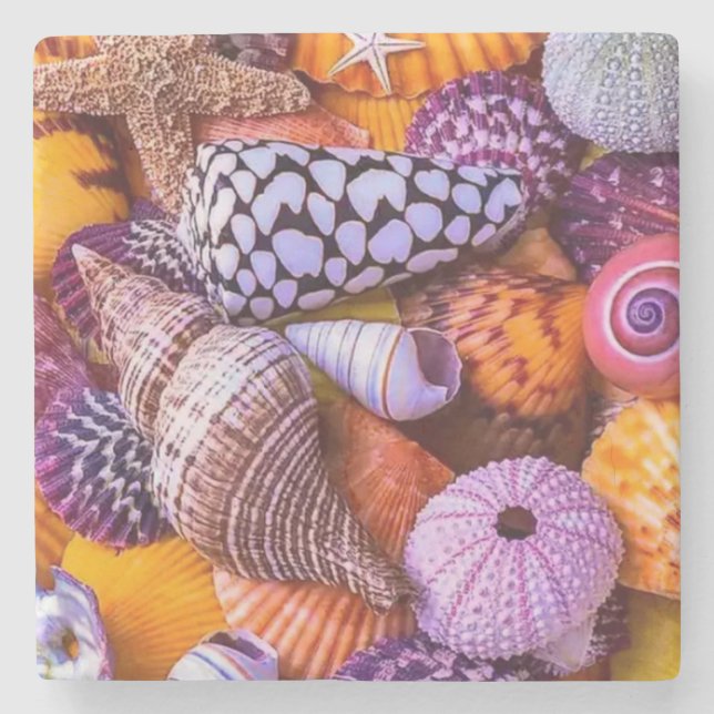 Sea Shells Stone Coaster (Front)