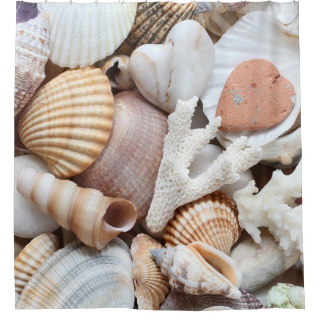 Sea Shells Stones Coral Background Shower Curtain (Front)