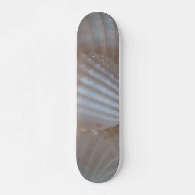 Sea Shells Summer Beach Exotic Tropical Skateboard (Front)