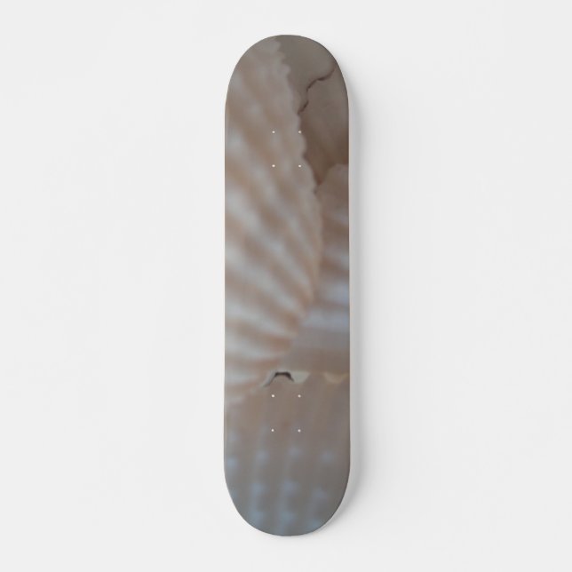 Sea Shells Summer Beach Exotic Tropical Skateboard (Front)