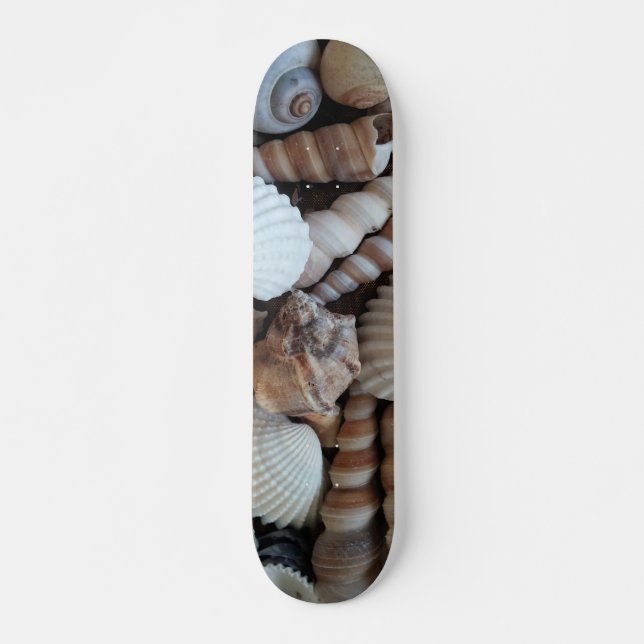 Sea Shells Summer Beach Exotic Tropical Skateboard (Front)