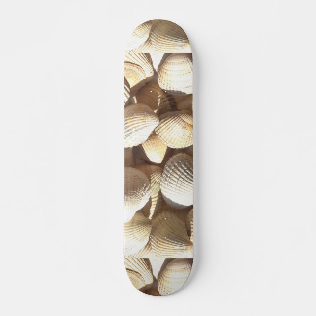 Sea Shells Summer Beach Exotic Tropical Skateboard (Front)
