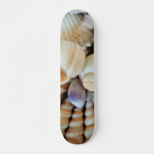Sea Shells Summer Beach Exotic Tropical Skateboard
