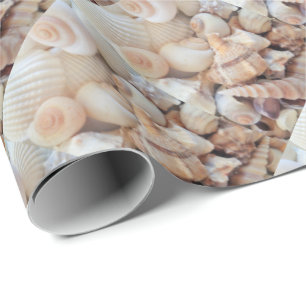 Sea Shells, Summer Exotic Tropical Photography Wrapping Paper