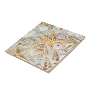Sea Shells Tile
