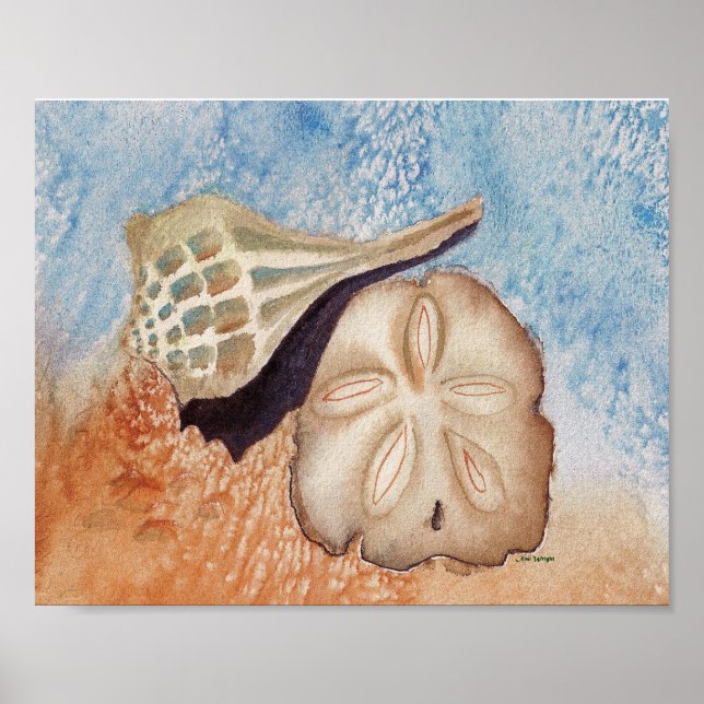 Sea Shells  watercolor painting Poster (Front)